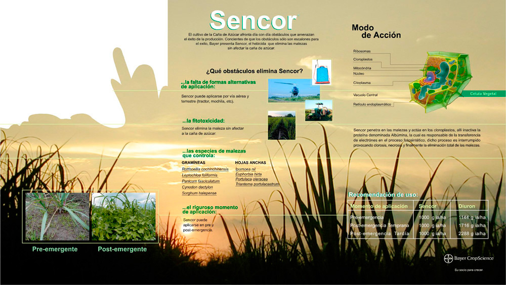 Imagen 4