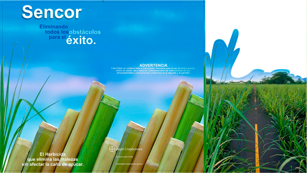 Imagen 5