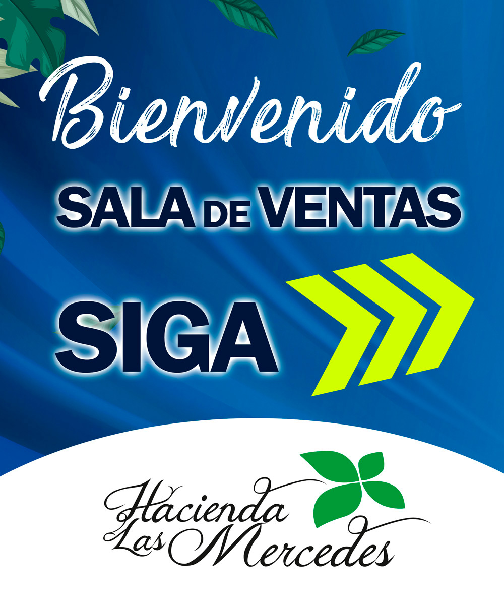 Imagen 37